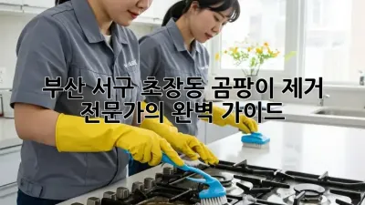 부산 서구 초장동 곰팡이 제거 전문가의 완벽 가이드
